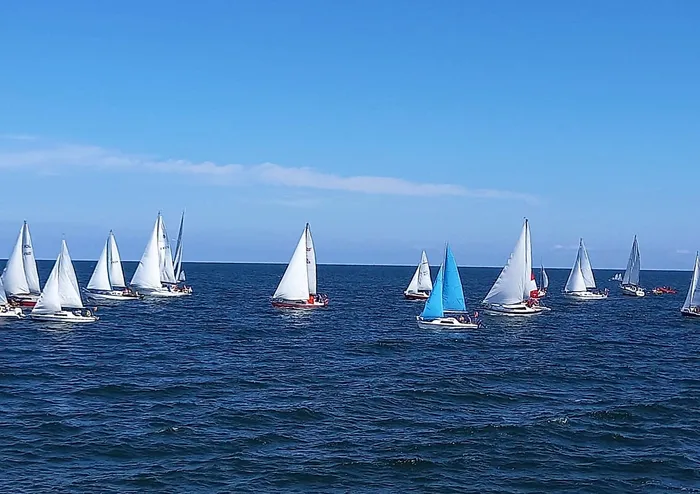 Błękitny Dorsz 2021